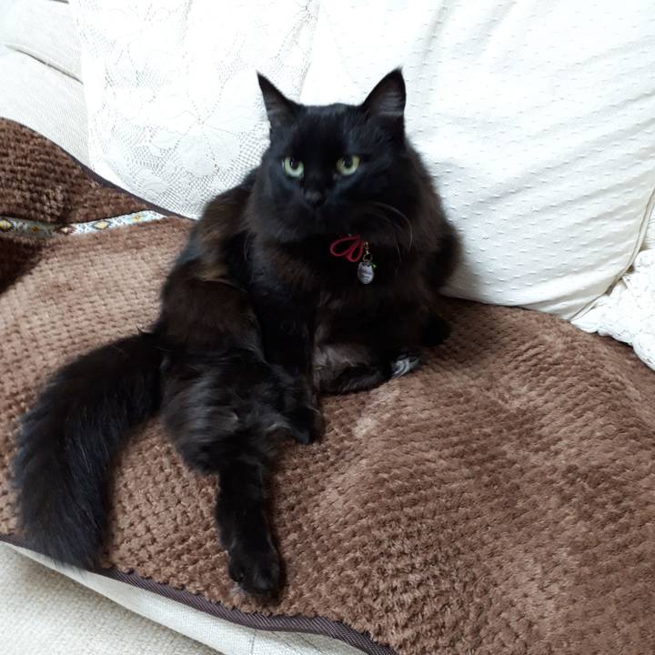 0ff6fbea 98b2 4cec 8a2a da639f06981b 1518209980824