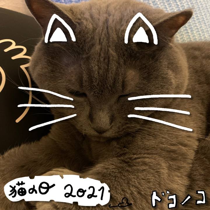 0ff70d2d e872 407c b9b4 d90f5f3bb4eb 1614001191526