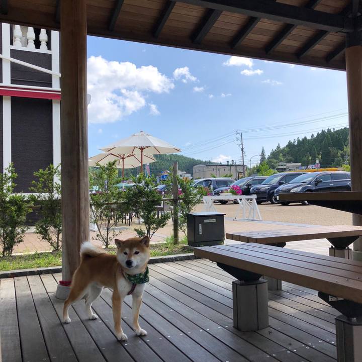 0ff79983 fe34 4239 9bb3 9ab33b32ebaa 1530603189994