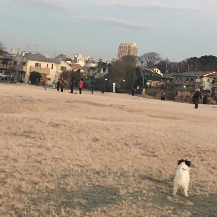 0ff79b50 be07 4860 8b26 c94f5c2191b8 1515535769217