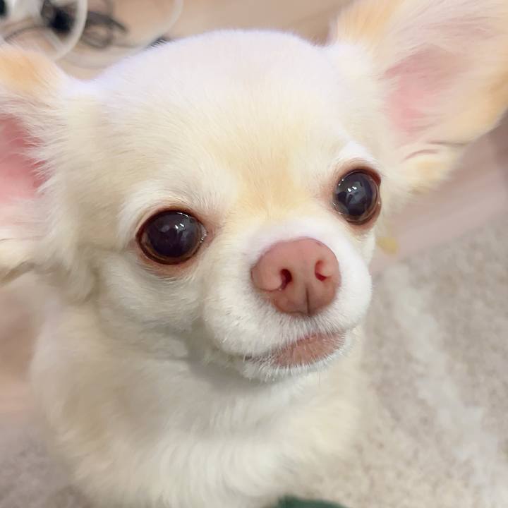 0ff7ef85 ac01 47ab 9161 98b24c5bddb9 1724669090234