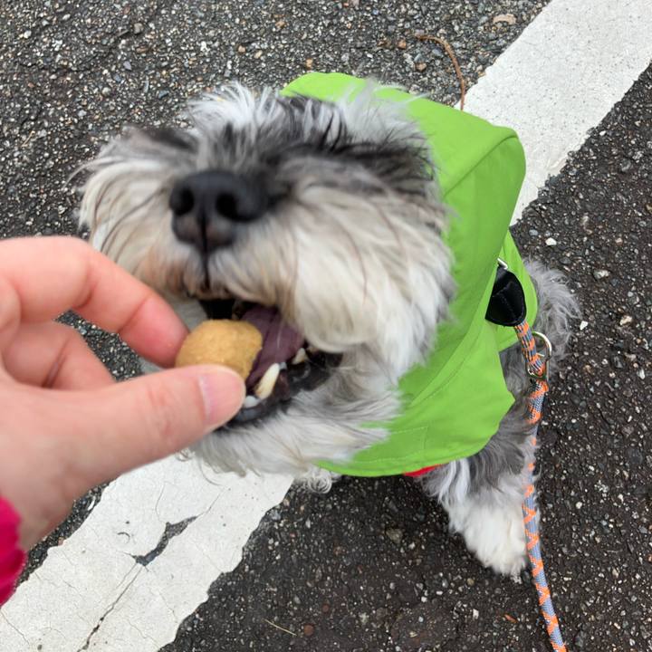 0ff841ec 4b2e 4db1 bad2 66c258eb8da7 1714536698741