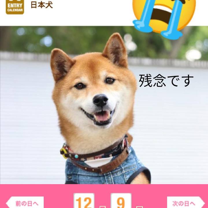 0ff8ad13 a954 483d aec3 1990d5424c90 1661940919564