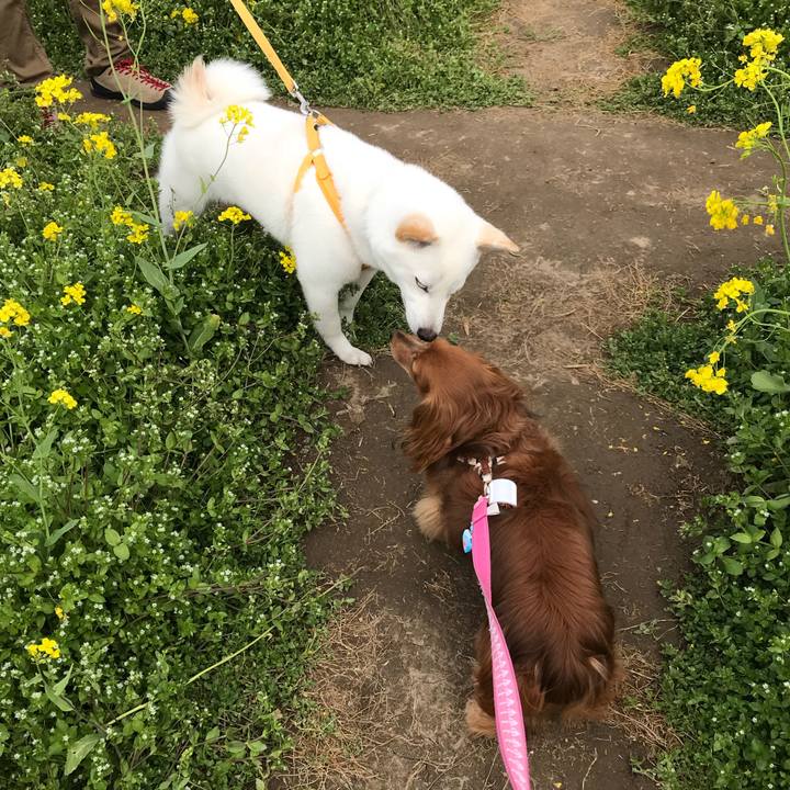 0ff8d941 5569 487c 9435 8c0c675c5954 1525747548996