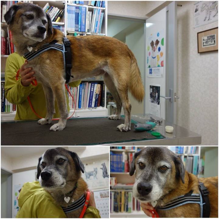 0ff8fdc6 56b5 43cc a3c8 95fef149094f 1572612866141