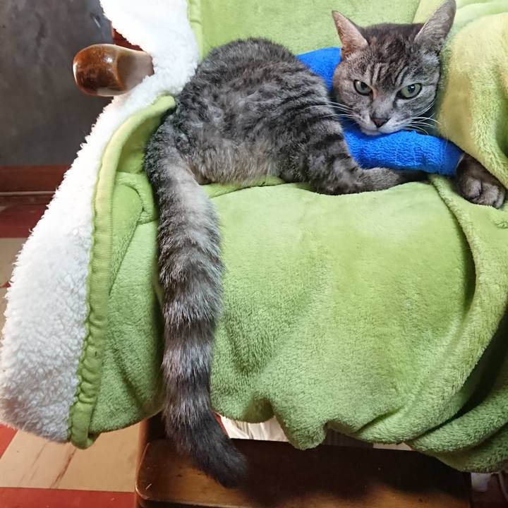 0ff93d5e e067 4326 8772 17b23b8231f6 1586813657650