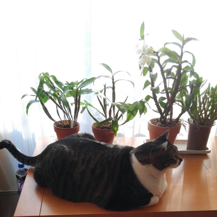 0ff94c00 375b 4ac2 b3f9 f9fc403ba7dc 1513638925788