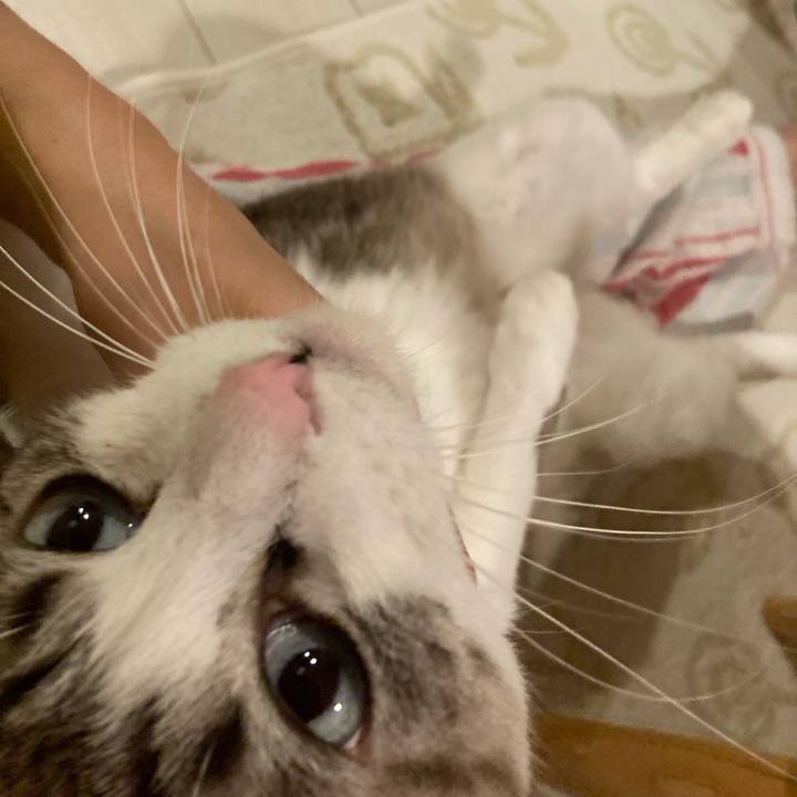 0ff98cf7 463d 467c 94ed d1e3c68e86b5 1698065879966