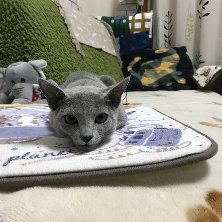 0ff9abe0 55d2 4b79 b04b 0b50e7be264d 1511959056752