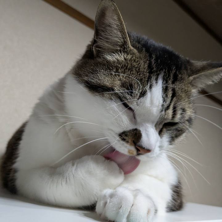 0ff9bc9e 9938 4b3f 876e 95b00f79ef99 1743677442762