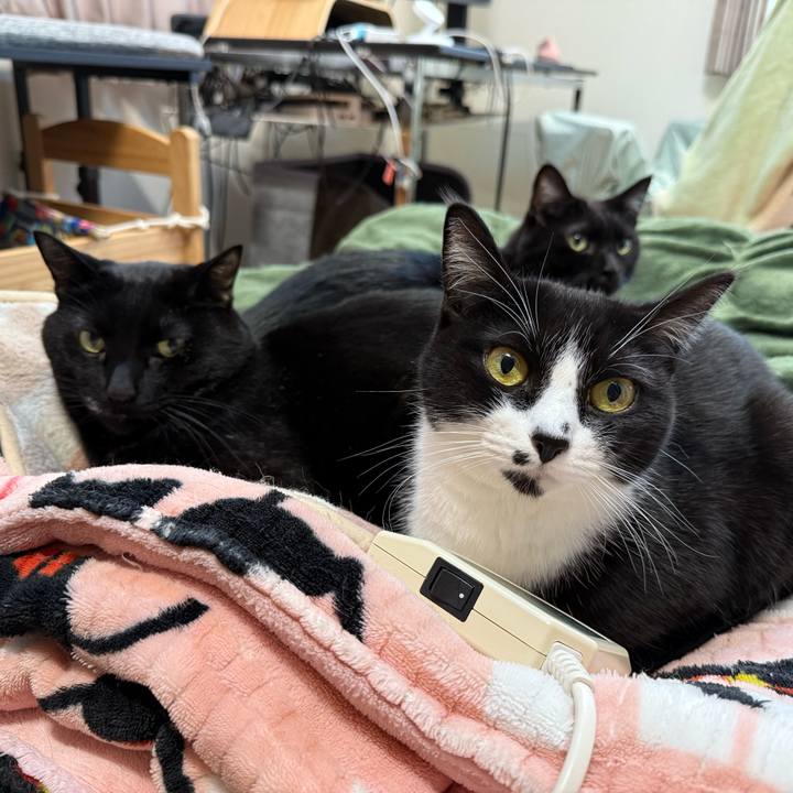 0ff9d94b d43f 4738 a0d9 468b375b1067 1767500797517