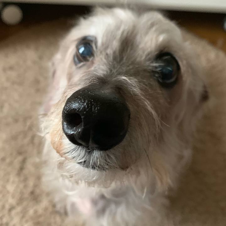 0ffa0f4b 9279 42a4 aa17 ce790b9e9788 1570399993207