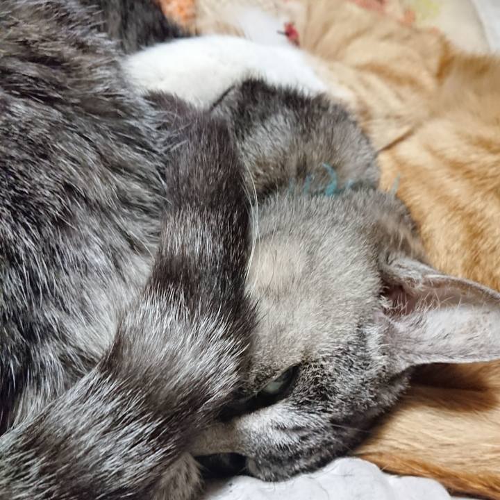 0ffa18bd f544 490c 92dc f7b8c255b531 1575033241798