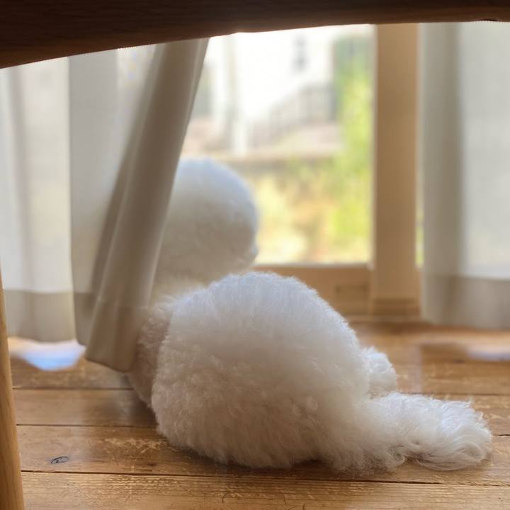 0ffa5aea 4a5d 40a6 a751 d3721fec91c1 1660802803214