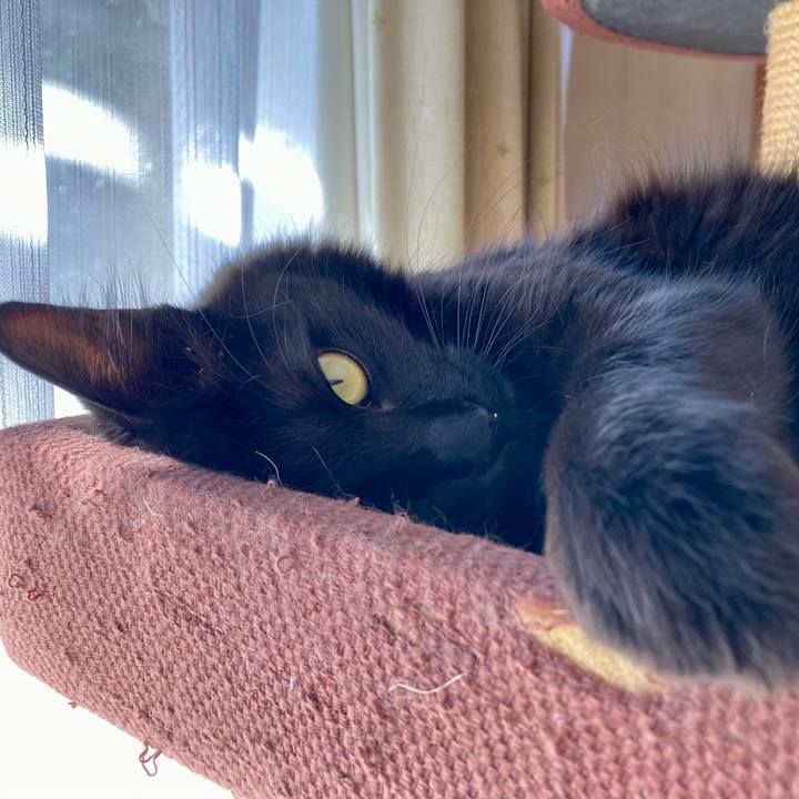 0ffa979d f679 47ae b222 88085a4ec3bf 1737549150327