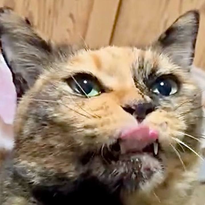 0ffaa242 7330 4e16 a6d3 e12ba73d3c8f 1756413031079