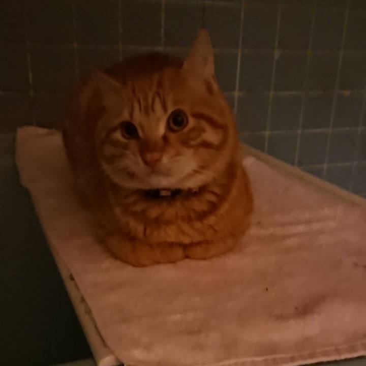 0ffab427 0d97 469b a7a1 5be3b642810c 1642068904462