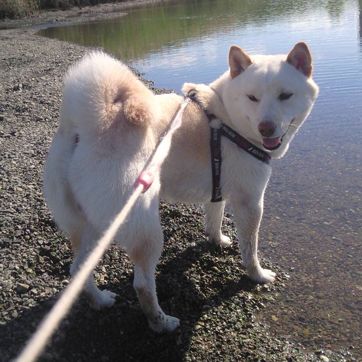 0ffab6e4 1e3f 48a3 baa6 f588e1c3eec3 1656390606957