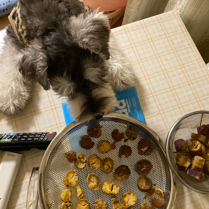 0ffab783 c8a7 4f64 8cc1 60accb5a0103 1570544991989