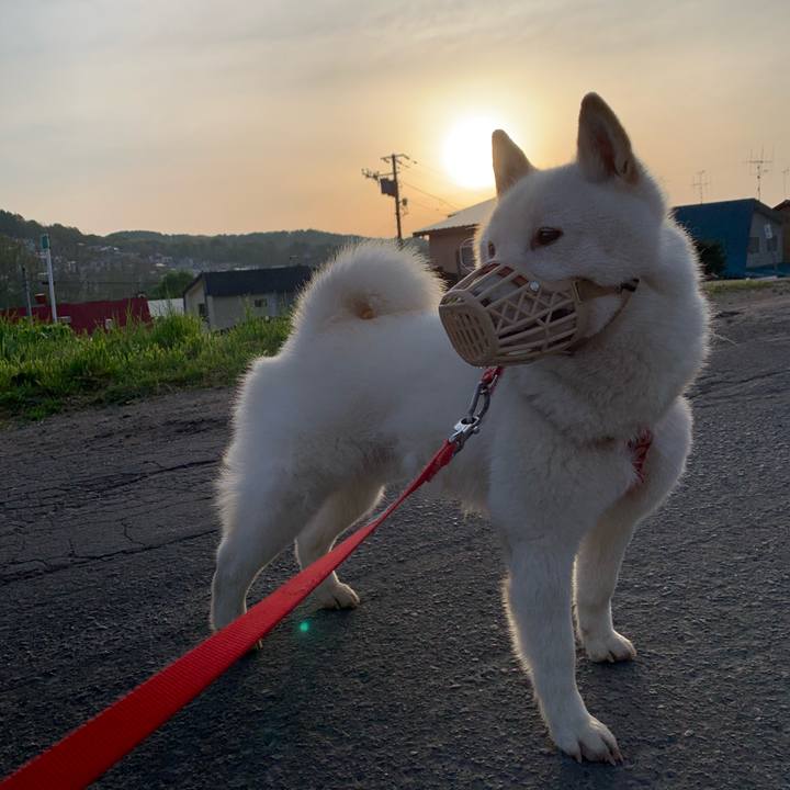 0ffad279 5e55 4972 920d fd6629443bd3 1558124257989