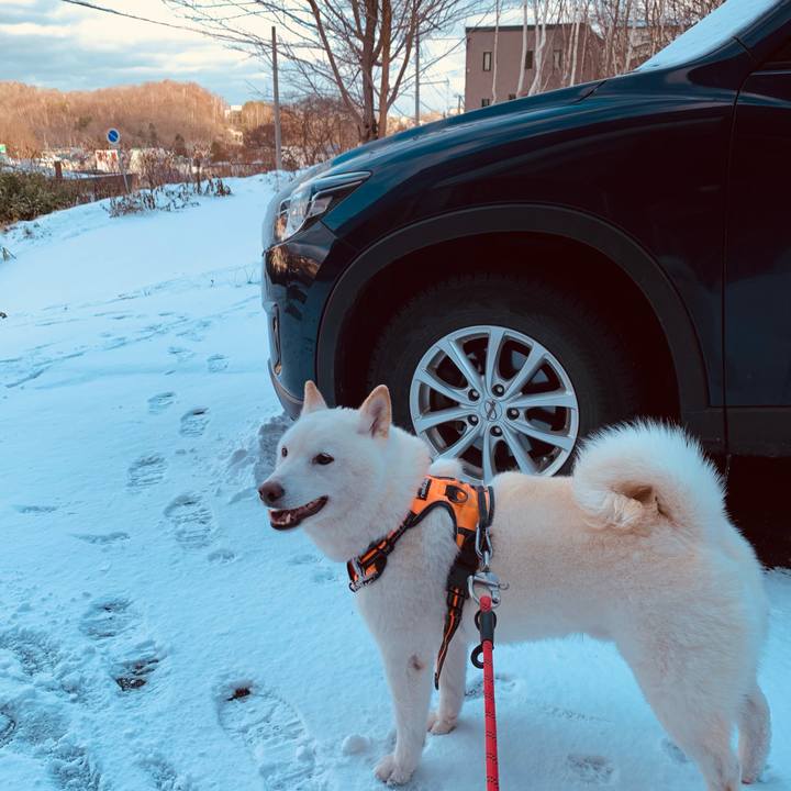 0ffae62e 60d1 4fd3 ab73 86d276d56874 1638748840124