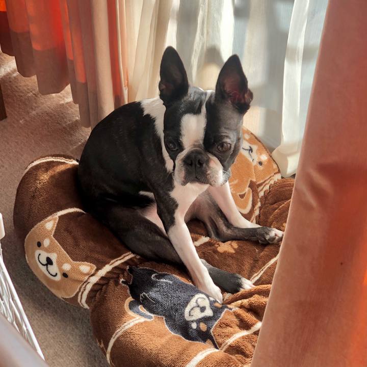 0ffb017f 7913 4e7c bb50 8c3da962f3f2 1608684218547