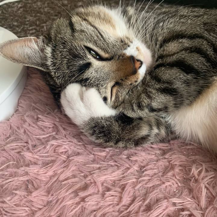 0ffb0f63 1326 4cd8 b3a0 b94de2f88714 1561374053344