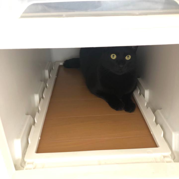 0ffb1fc3 c322 4996 adb7 39b777b3b918 1557544109350