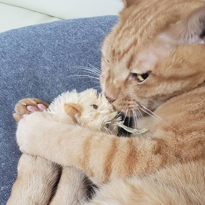 0ffb2b01 5873 41cf 8e90 a09e7db9dee2 1721541824872