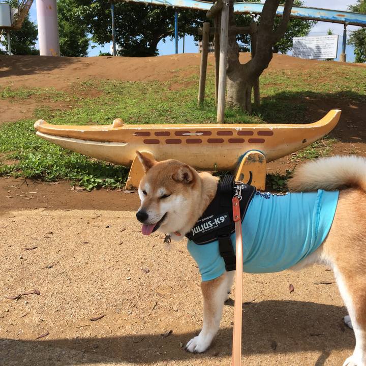 0ffb3b71 496d 4a58 a971 8f998a152c38 1528415680282