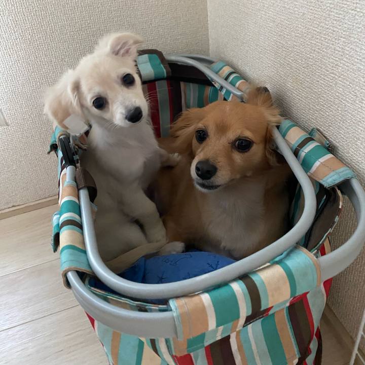 0ffb4c2e 7b04 402e 8ccf 6e512729d70e 1628929003679