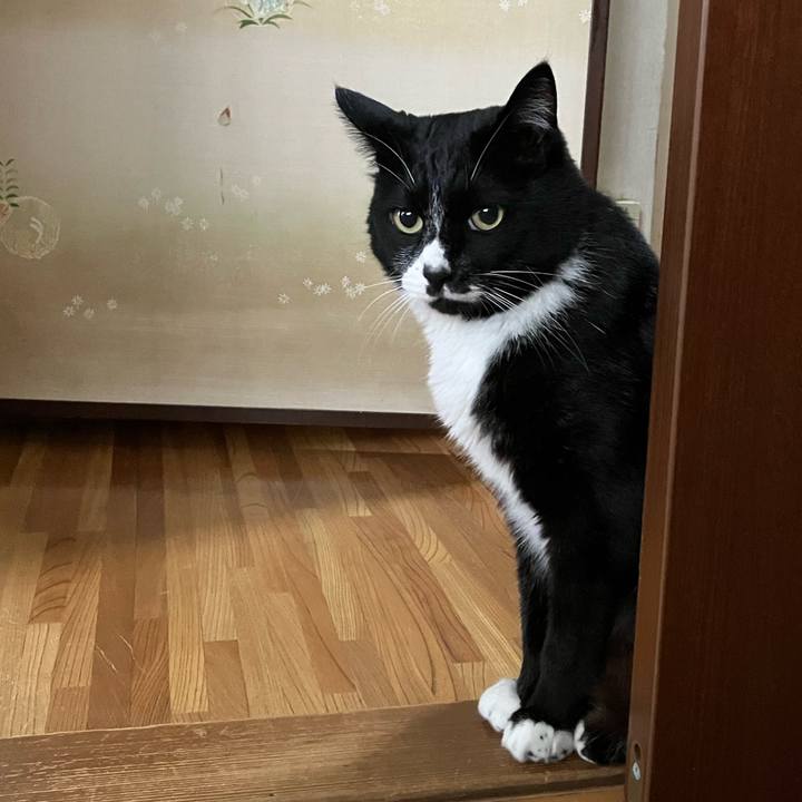 0ffb634a cb8a 4e36 afc6 0871b409eae5 1753761908169