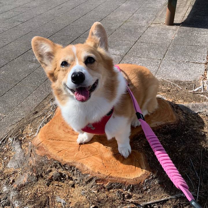 0ffb8263 35a1 4e56 9811 5ae0e6d9911c 1708235001259