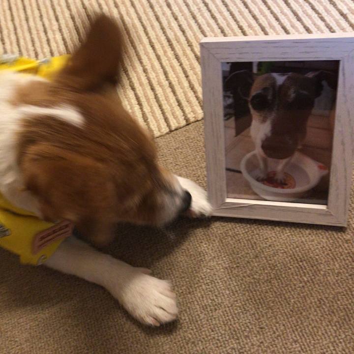 0ffbb949 222e 4c58 8f44 0c829bcff7c0 1560857446741