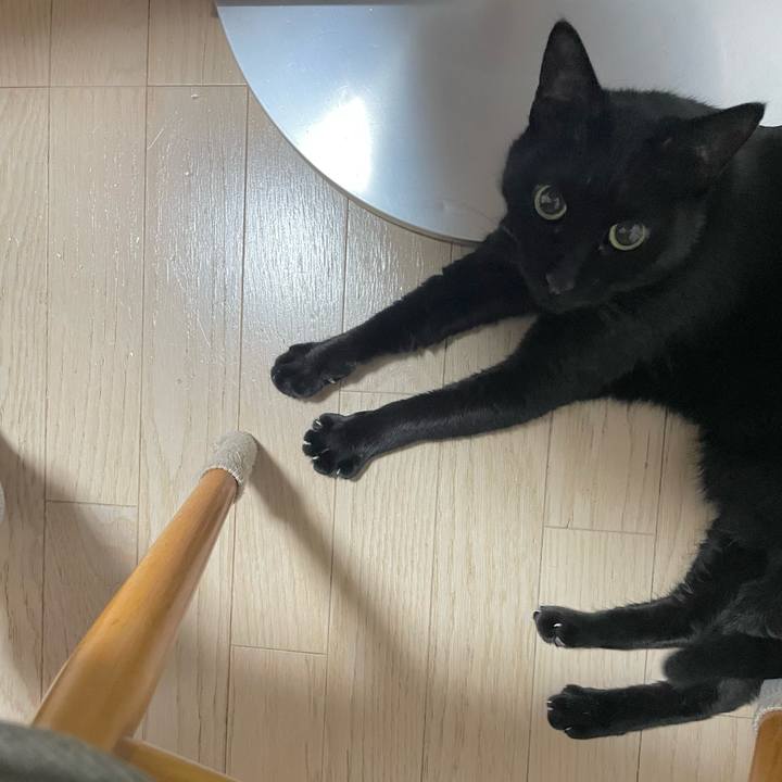 0ffbbfc1 5909 4c0a a788 5cb58bd3f706 1707483119790