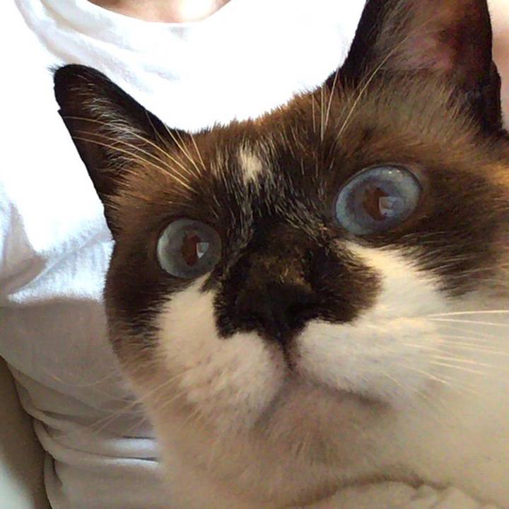 0ffbf24e b248 4f32 a3ba 7c0f49268158 1531379379658