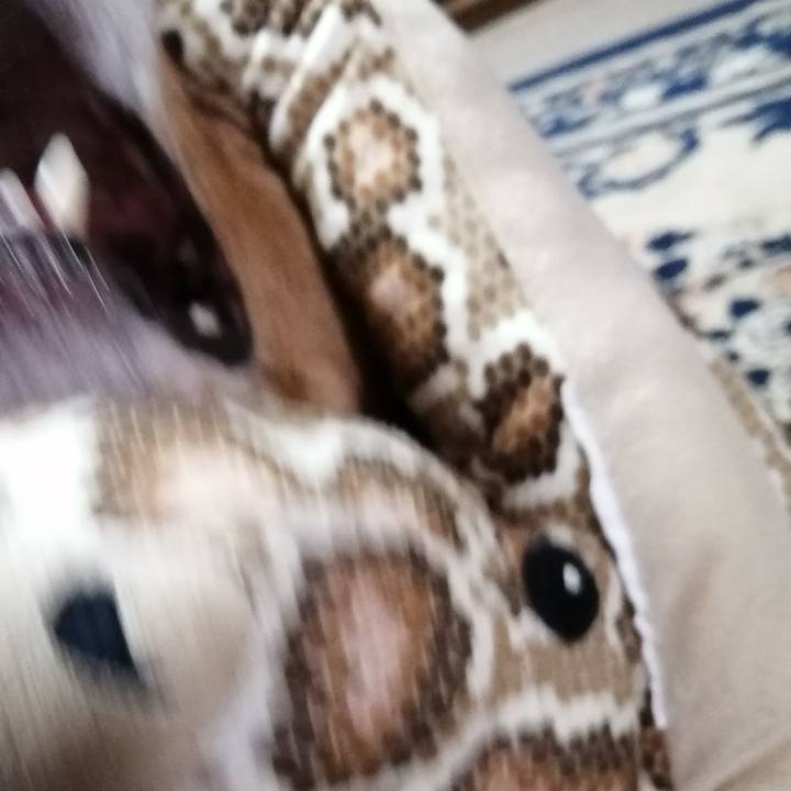 0ffbfaab 6133 4d96 b85e 57f1a407c5d6 1587946107756