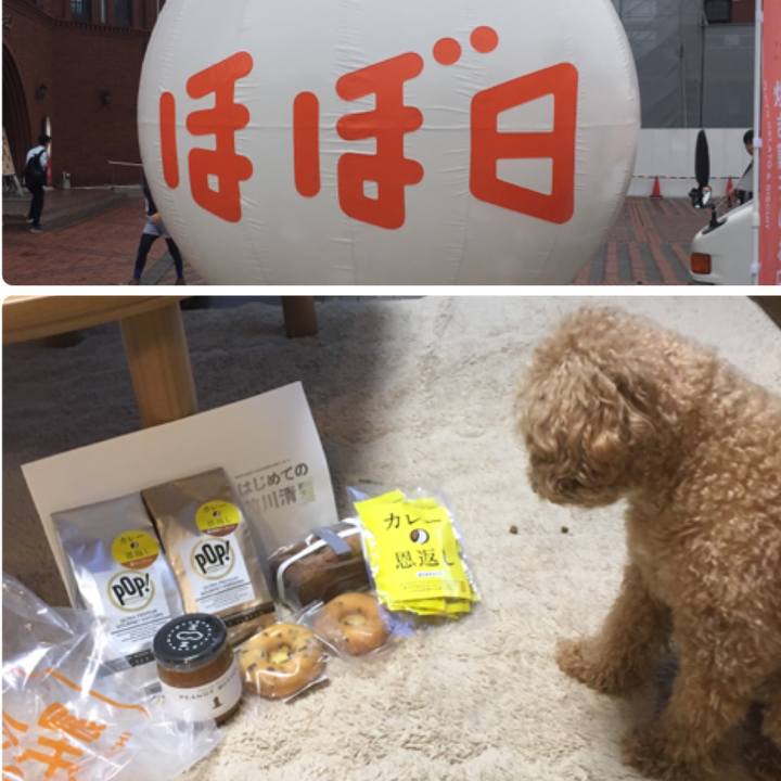 0ffc6a26 ede8 4ecd 8eea 9bc7b946c22b 1528624455485