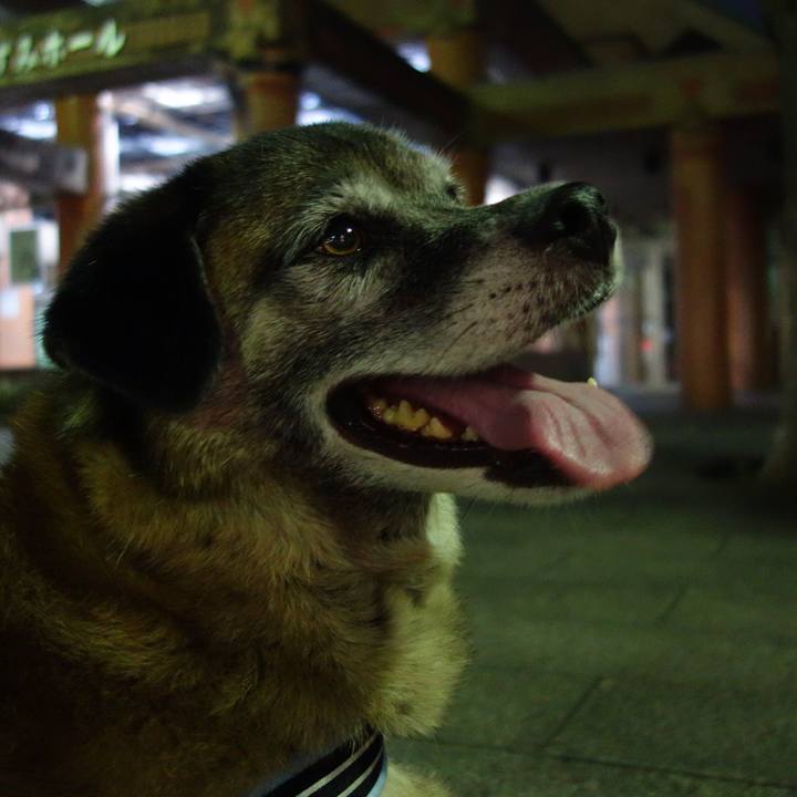 0ffcd7d1 f6fa 4dbc ad86 8adc83161458 1533128529093