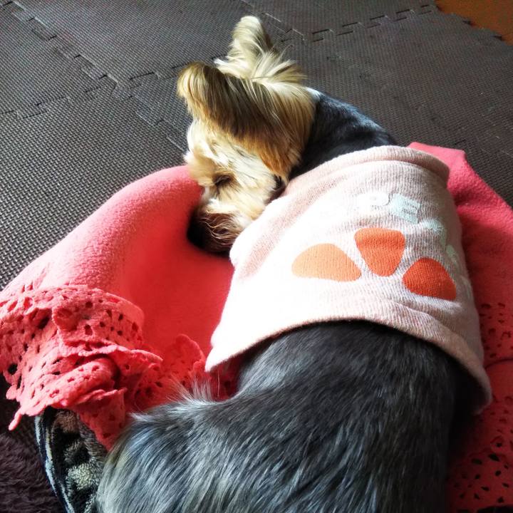 0ffcdfcc 830d 4d86 8071 545d19808892 1667457051962