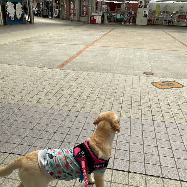 0ffd2a4b 6235 4909 bc86 698b680169fe 1623062851363