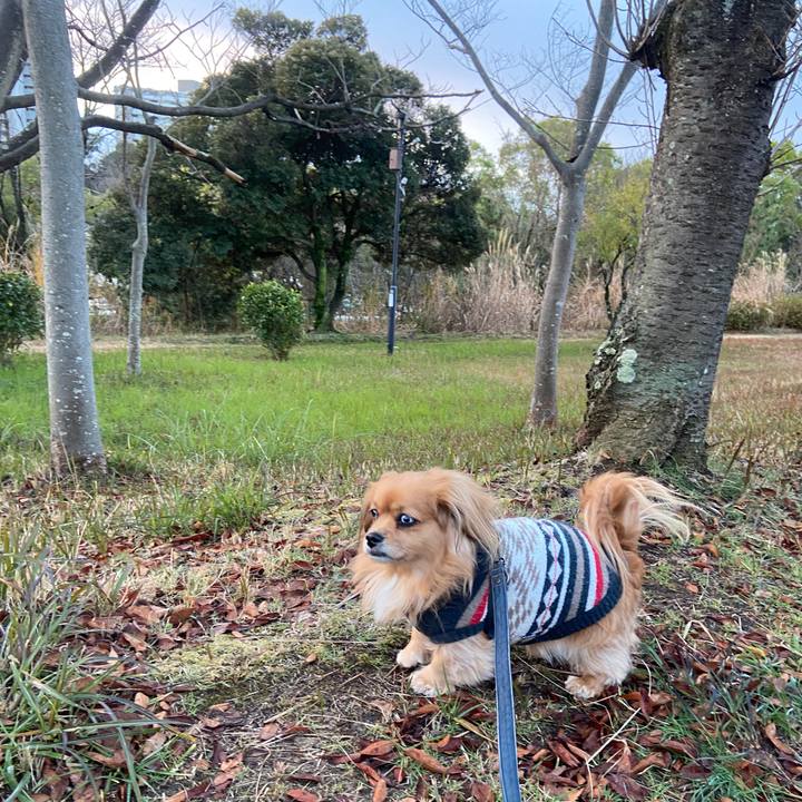 0ffd2df0 088b 4177 bde2 31f18030df02 1639781403437