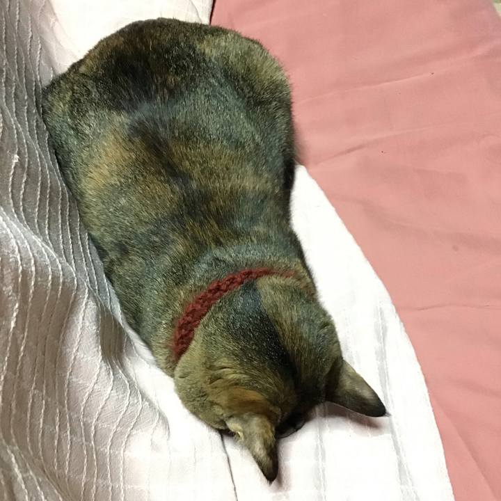 0ffd3f4a 77a7 4997 b2ac a4b10e72c994 1640763516517