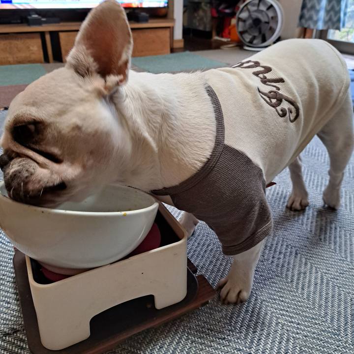 0ffd60c1 502b 4fd8 9eeb 85e2205b5da6 1700174644197