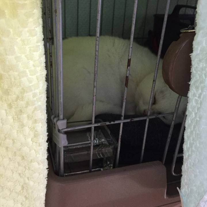 0ffd7232 8d0c 4bda 85b2 9f256b06e2ba 1509192844197