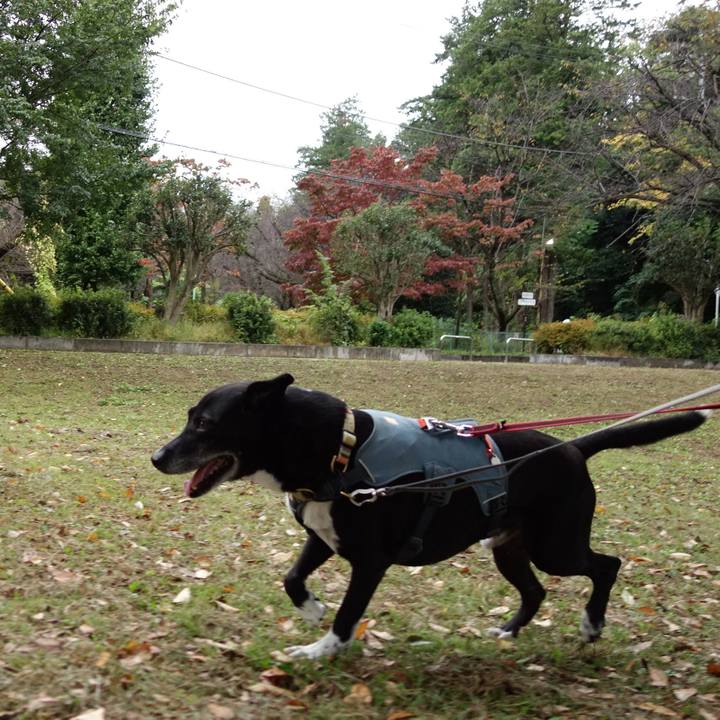 0ffd7cfe 5d24 4718 a4f4 5a9593dade38 1729813088459