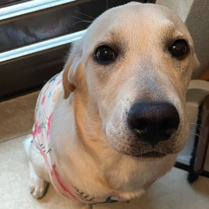 0ffd7dbb 8c1b 4f87 a7e9 1e15100adc3c 1622685372408