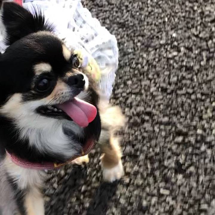 0ffda2cb cad3 4c60 bd19 9ab8bd37ff73 1595287506359