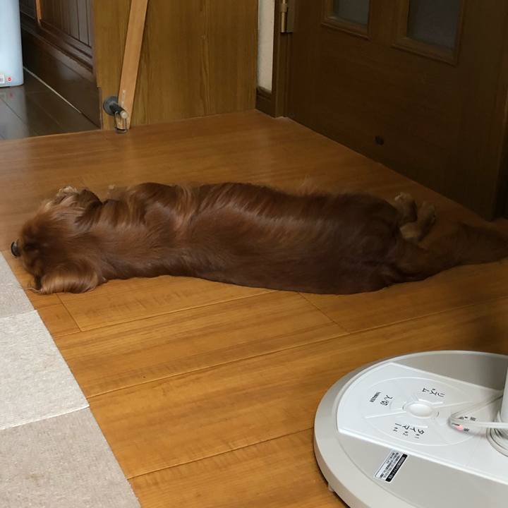 0ffda90d 2cf5 4c3f a5a3 3abfda3e5444 1597120887414