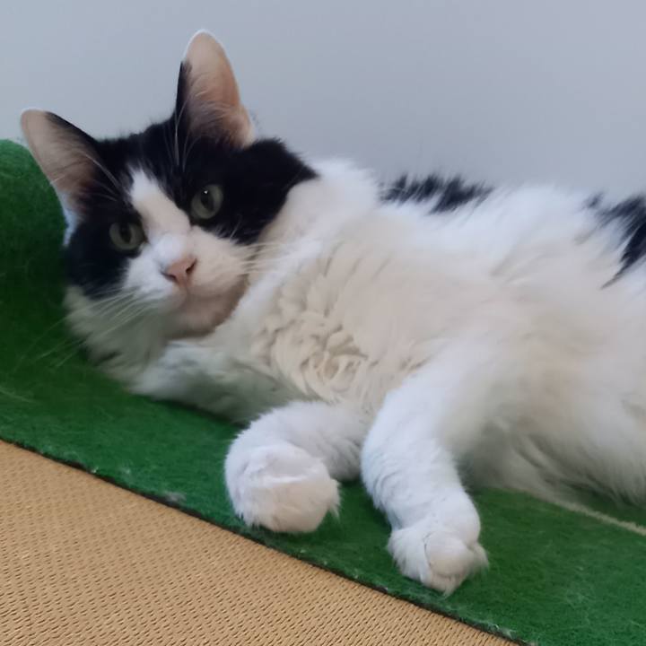 0ffdba73 2f31 4f4f 8aa6 51c09025058d 1655674007920